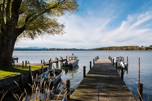 的决定之前 的决定之前