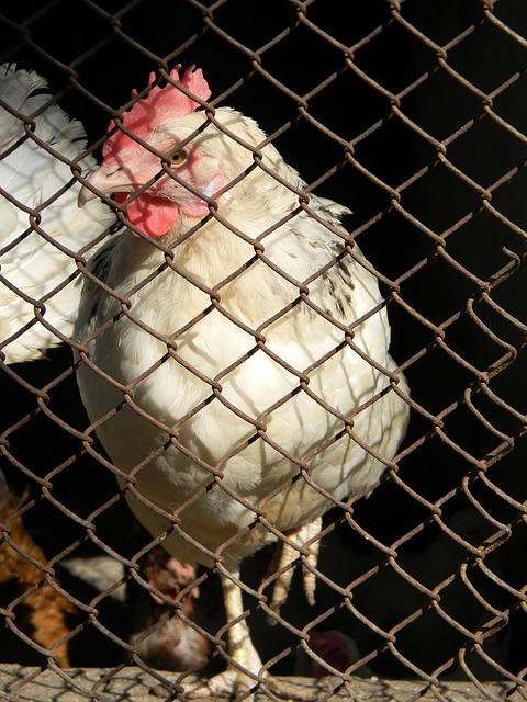 时仍能保持 时仍能保持