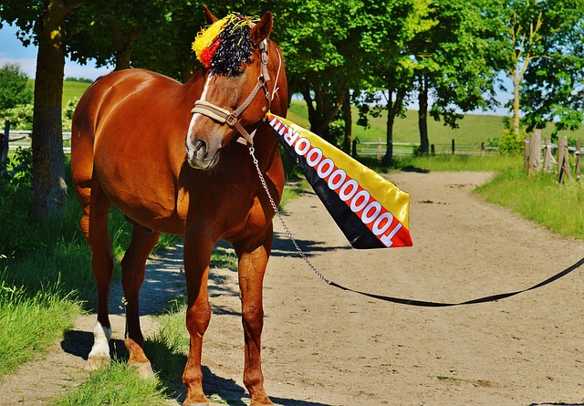 该如何选择 该如何选择